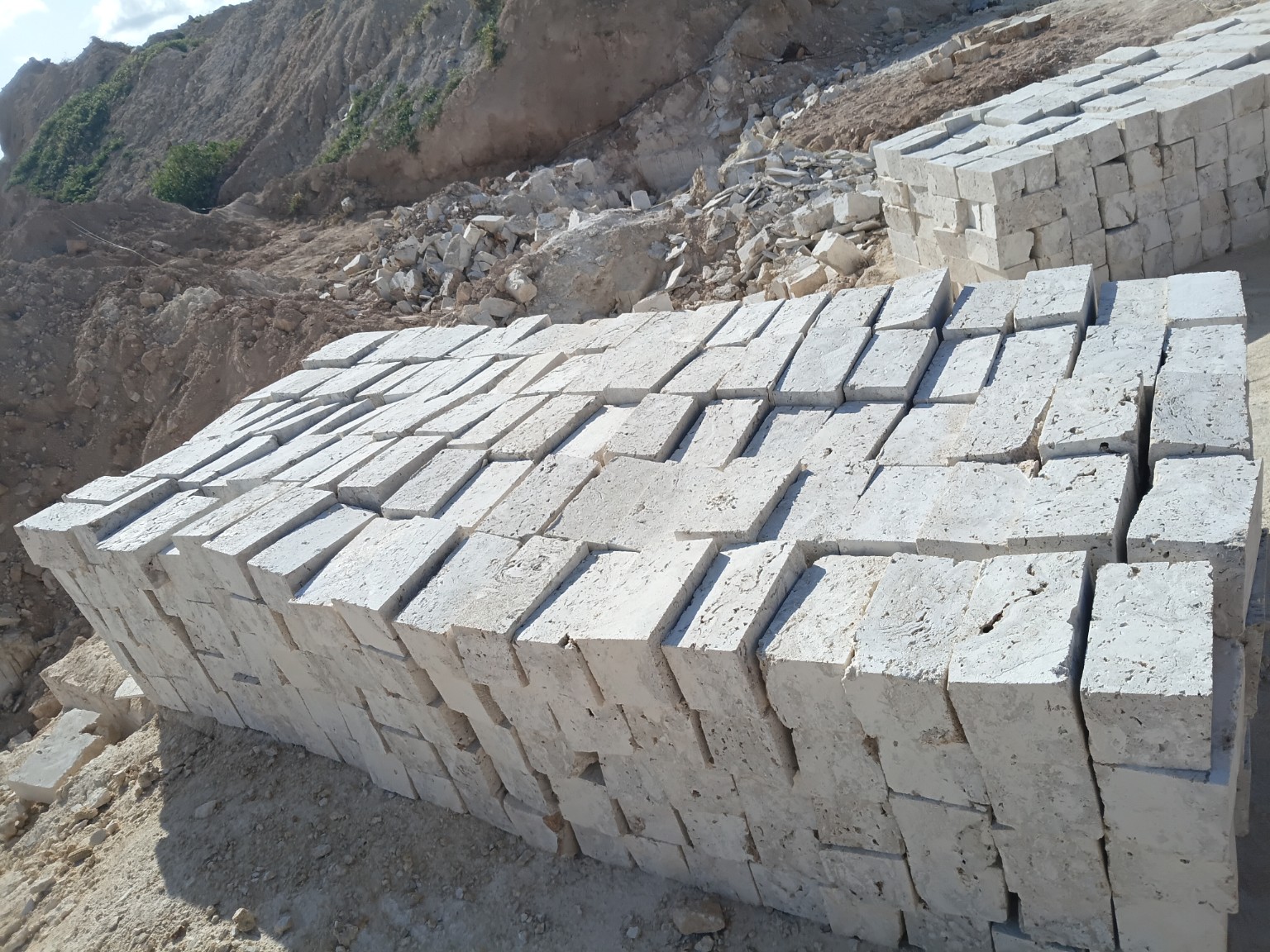 Dzunguni building blocks