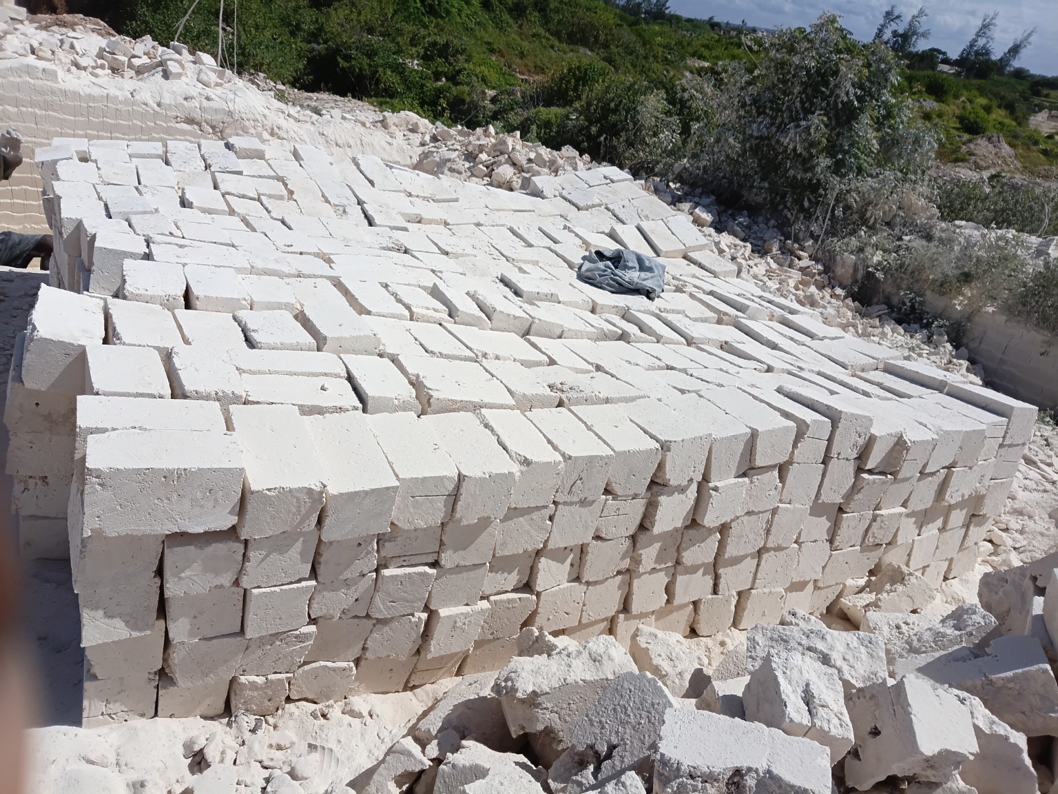 Freshly prepared building blocks